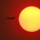 Image for article titled Earth's Carbon Dioxide Level Is Set to Make One of Its Biggest Annual Leaps Ever Recorded